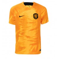 Netherlands Replica Home Shirt World Cup 2022 Short Sleeve